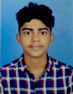 Brijil P J